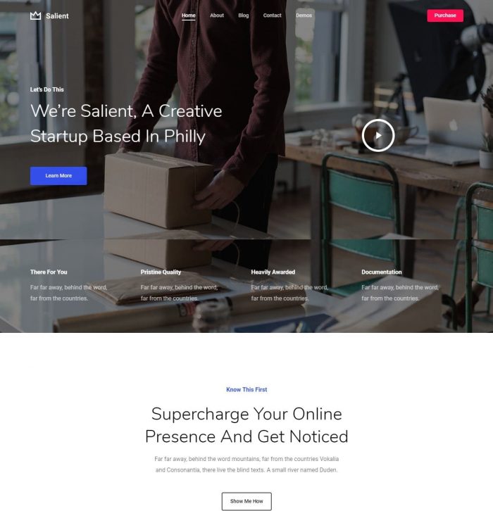 Tema Salient WordPress